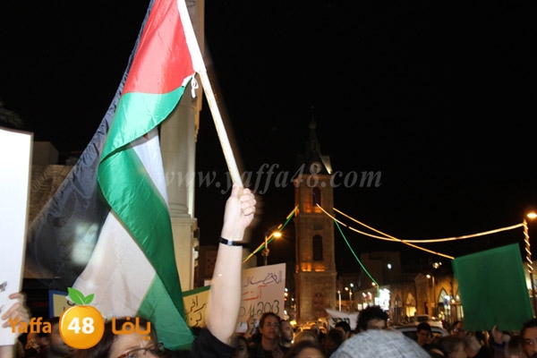 brafer td oi1130 (38).JPG